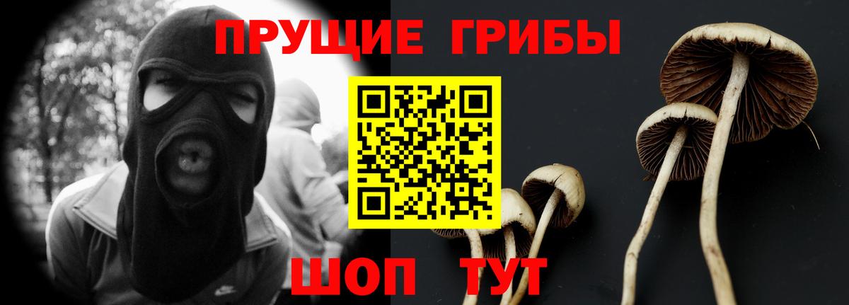 Псилоцибиновые грибы GOLDEN TEACHER  Галлюциногенные грибы мухоморы  Элиста  Вход с VPN 